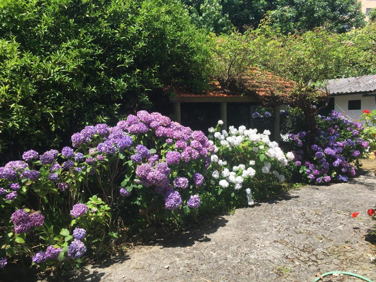 The Oaks House Foz Porto Exterior foto